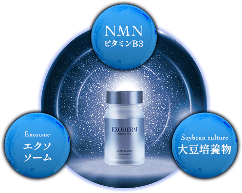 エクソダームTMの成分