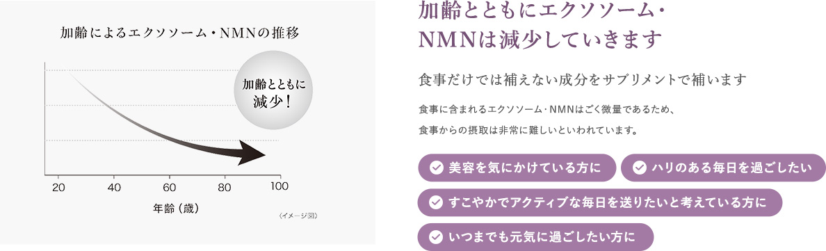 食事だけでは補えない成分をサプリメントで補います
