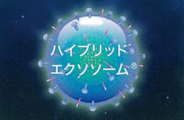 融合の様子3
