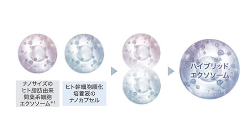 ヒト由来成分「ハイブリッドエクソソーム®」配合