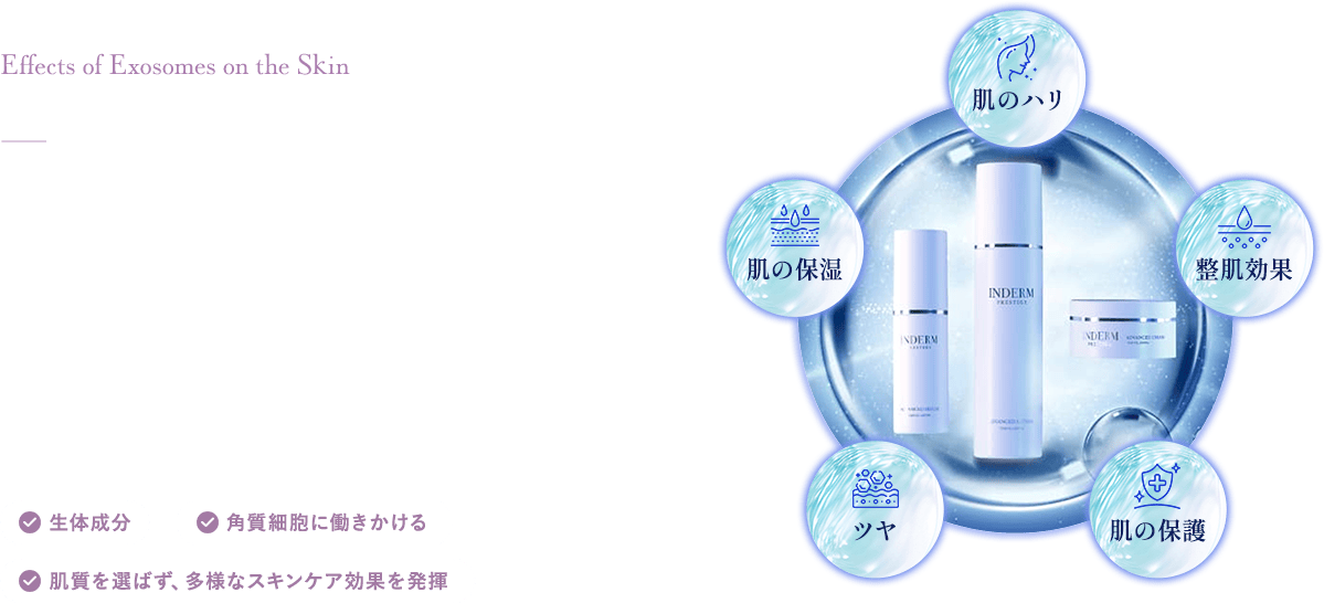 エクソソームの肌への効果-肌状態や肌質を選ぶことなく、肌細胞に指令を出す