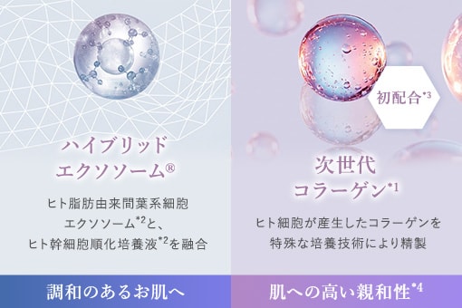 ハイブリッドエクソソーム×次世代コラーゲン配合