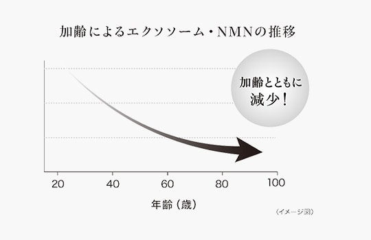 加齢とともにエクソソーム・NMNは減少していきます