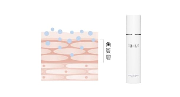 インダーム・エクソダームシリーズ｜株式会社 エステツイン