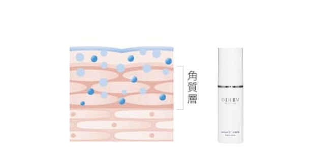 インダーム・エクソダームシリーズ｜株式会社 エステツイン