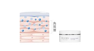 ステップナビゲーション