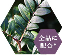 マスチック樹脂