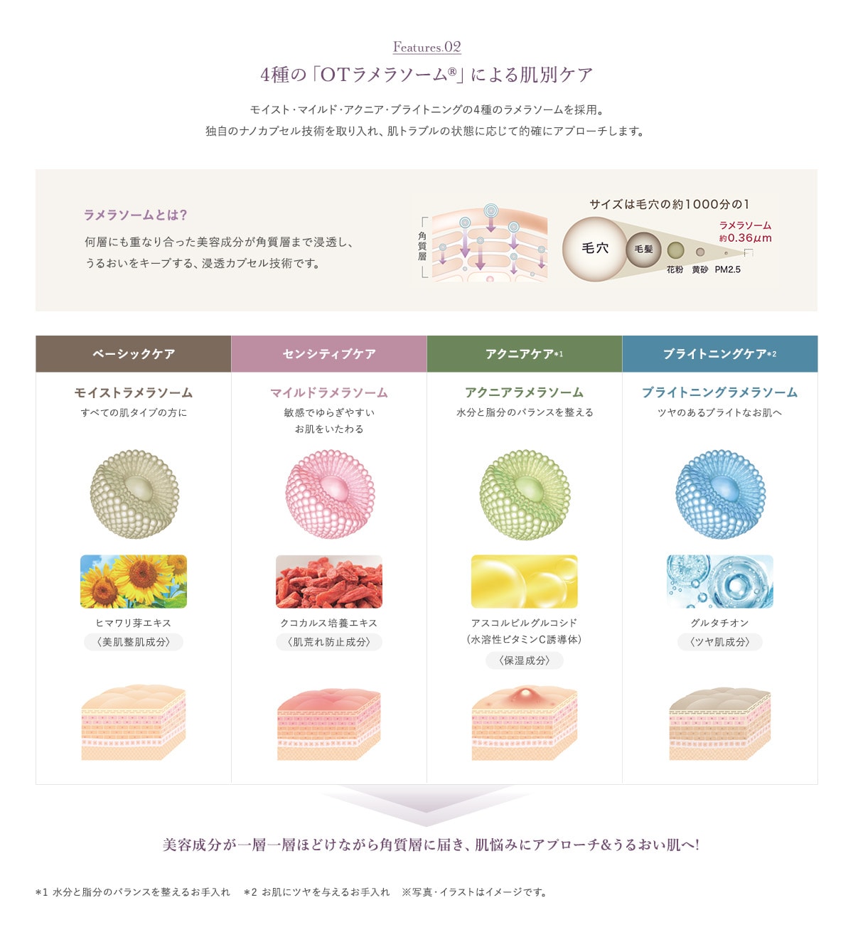 4種の「OTラメラソーム®」による肌別ケア