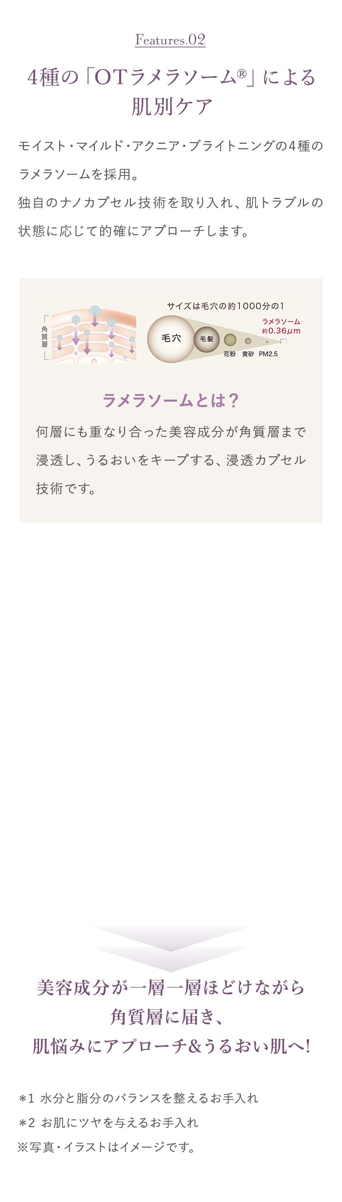 4種の「OTラメラソーム®」による肌別ケア