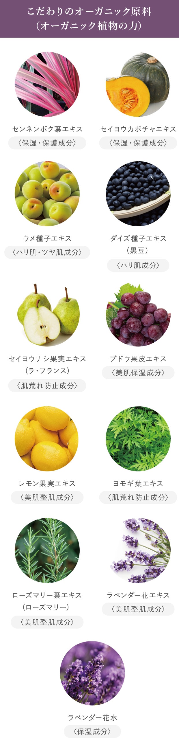こだわりのオーガニック原料（オーガニック植物の力）