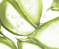 自然派志向のすべての方にご満足いただける化粧品を目指し、誕生。