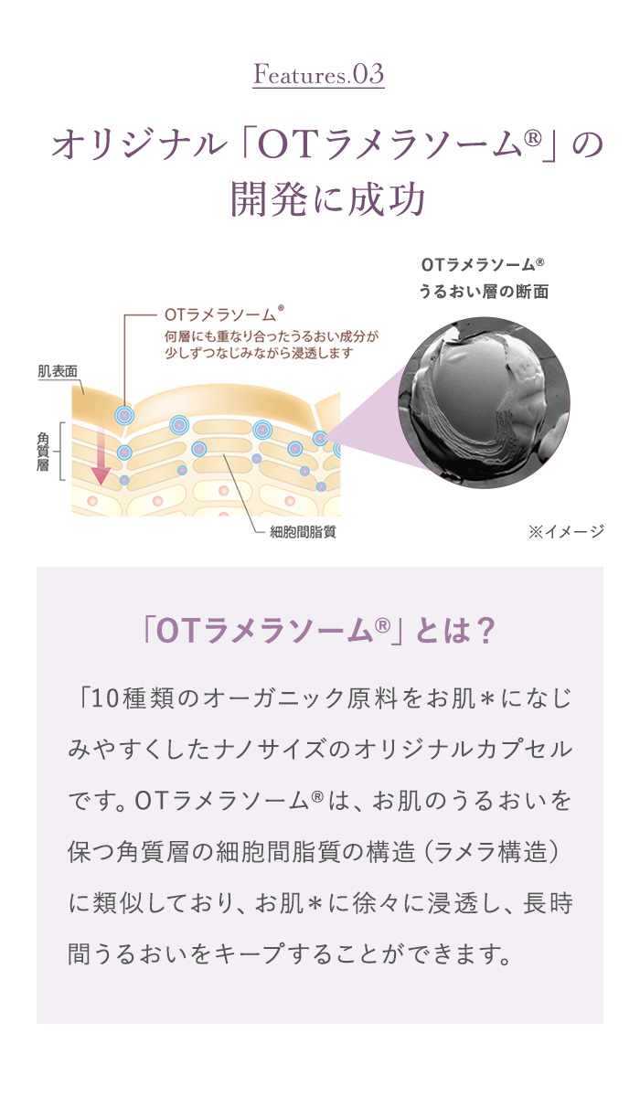 オリジナル「OTラメラソーム®」の開発に成功
