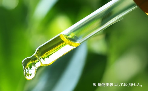 6つのフリーを実現