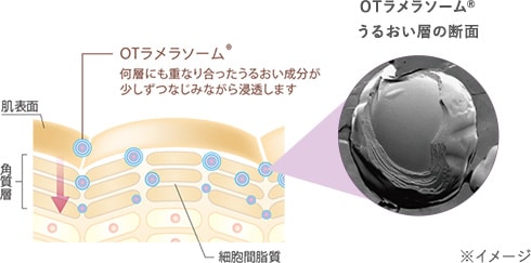 6つのフリーを実現
