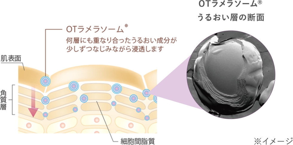 オーガニックタイムシリーズ｜株式会社 エステツイン