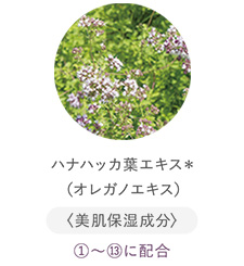 ハナハッカ葉エキス＊（オレガノエキス）