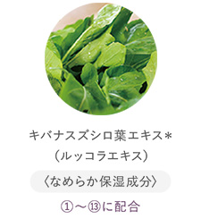 キバナスズシロ葉エキス＊（ルッコラエキス）