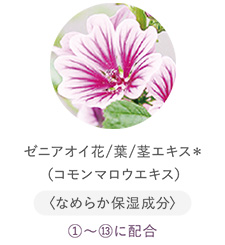 ゼニアオイ花/葉/茎エキス＊（コモンマロウエキス）