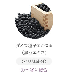 ダイズ種子エキス＊（黒豆エキス）
