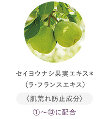 セイヨウナシ果実エキス＊（ラ･フランスエキス）