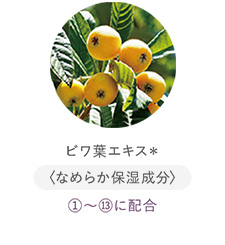 ビワ葉エキス＊