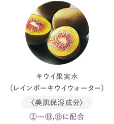 キウイ果実水（レインボーキウイウォーター）