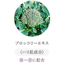 ブロッコリーエキス