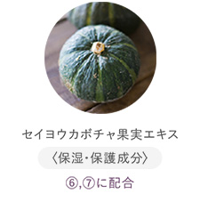 セイヨウカボチャ果実エキス