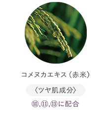 コメヌカエキス（赤米）