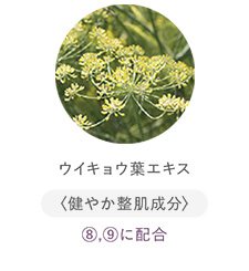 ウイキョウ葉エキス