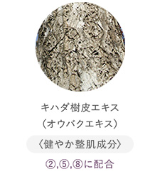 キハダ樹皮エキス（オウバクエキス）