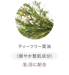 ティーツリー葉油