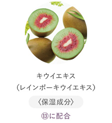 キウイエキス（レインボーキウイエキス）