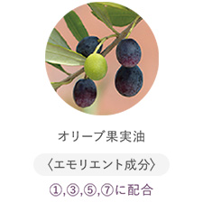 オリーブ果実油