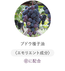 ブドウ種子油