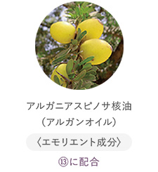 アルガニアスピノサ核油（アルガンオイル）