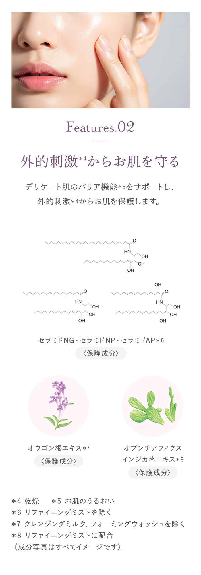 PMS｜株式会社 エステツイン