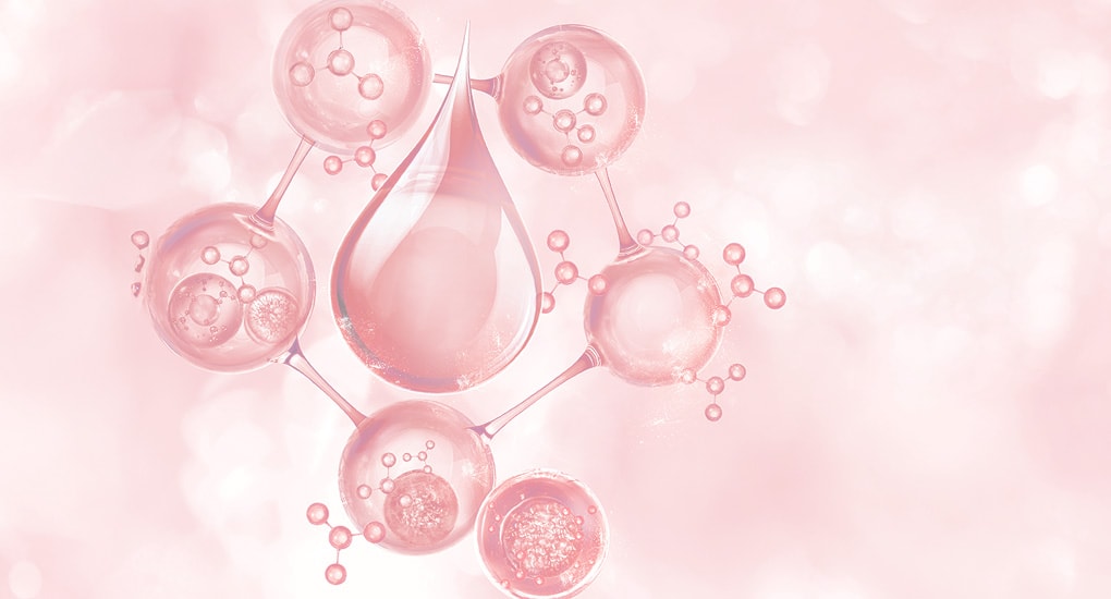 PMS｜株式会社 エステツイン