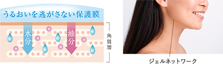 ジェルネットワークを形成、うるおいを逃さない保護膜