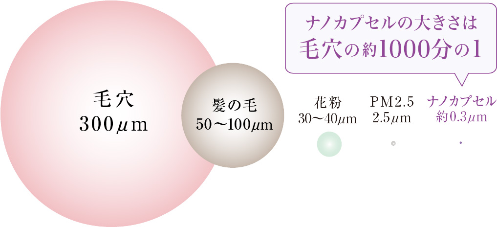 エステツイン SEシリーズ｜株式会社 エステツイン