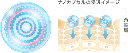 ナノカプセル配合