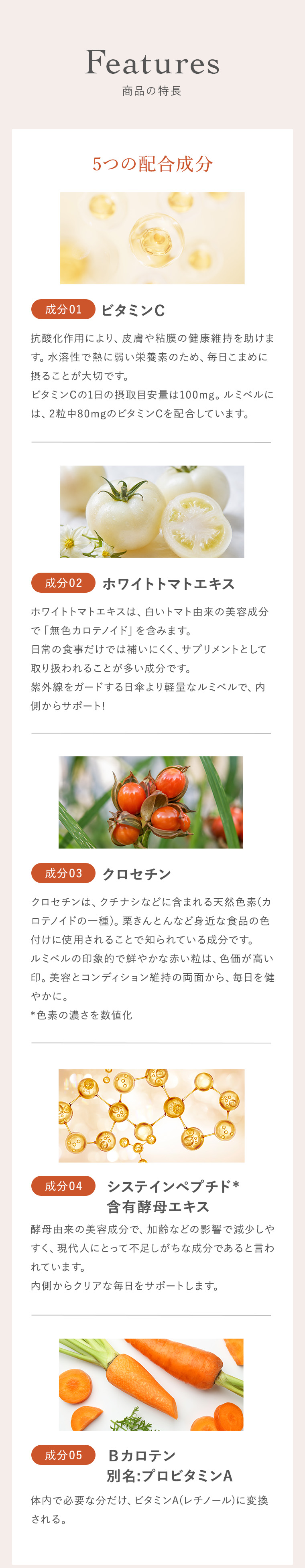 商品の特長