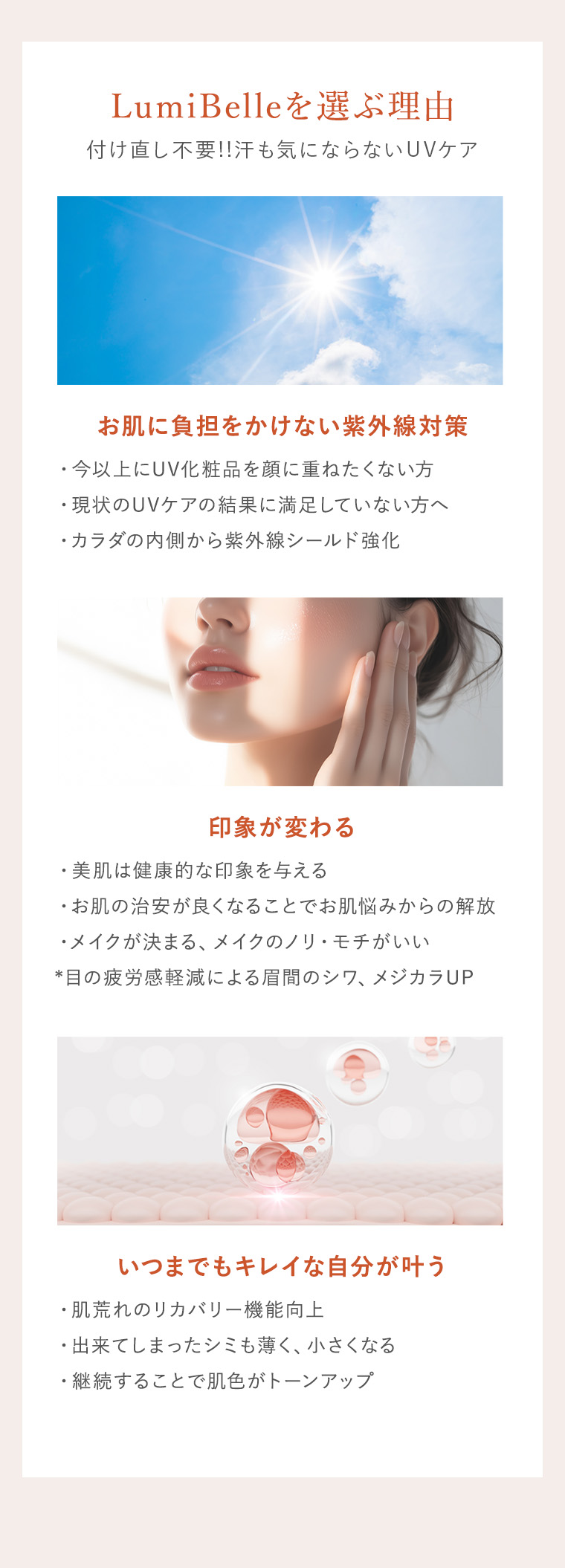 商品の特長