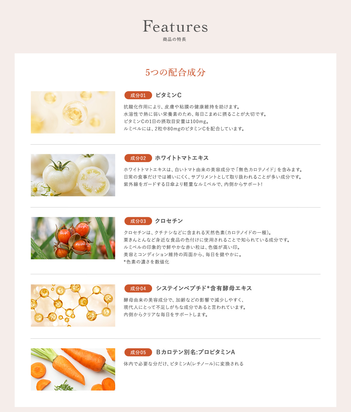 商品の特長