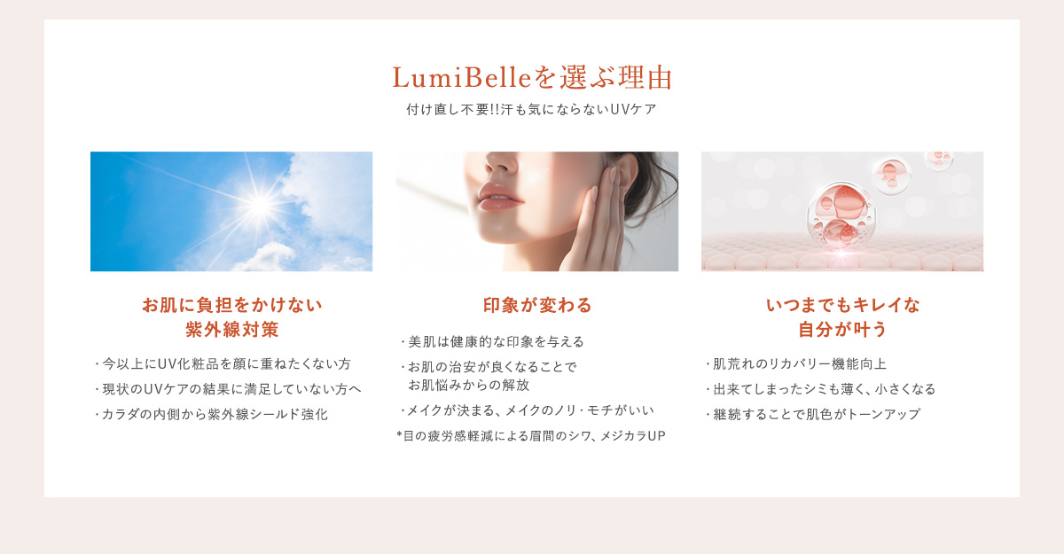 商品の特長